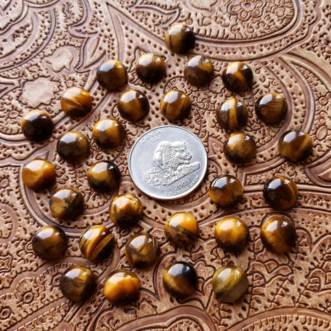 10mm Tiger's Eye Round Cab (1 pc)