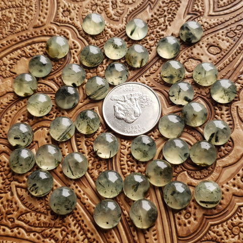 10mm Prehnite Round Cab (1 pc)